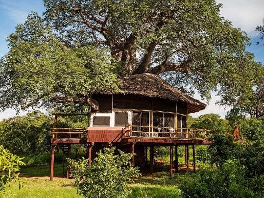 Tarangire Treetops 