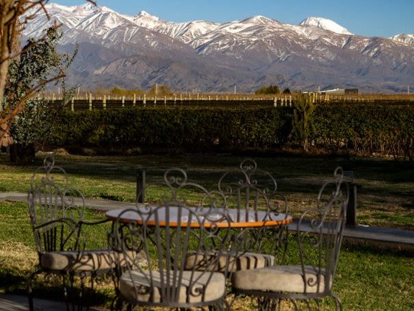 Uco Valley Wine Tour - Full Day