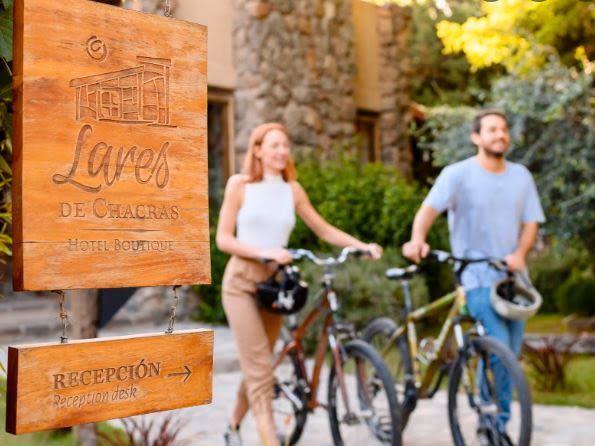 Explore the Wine Region of the Maipu Valley