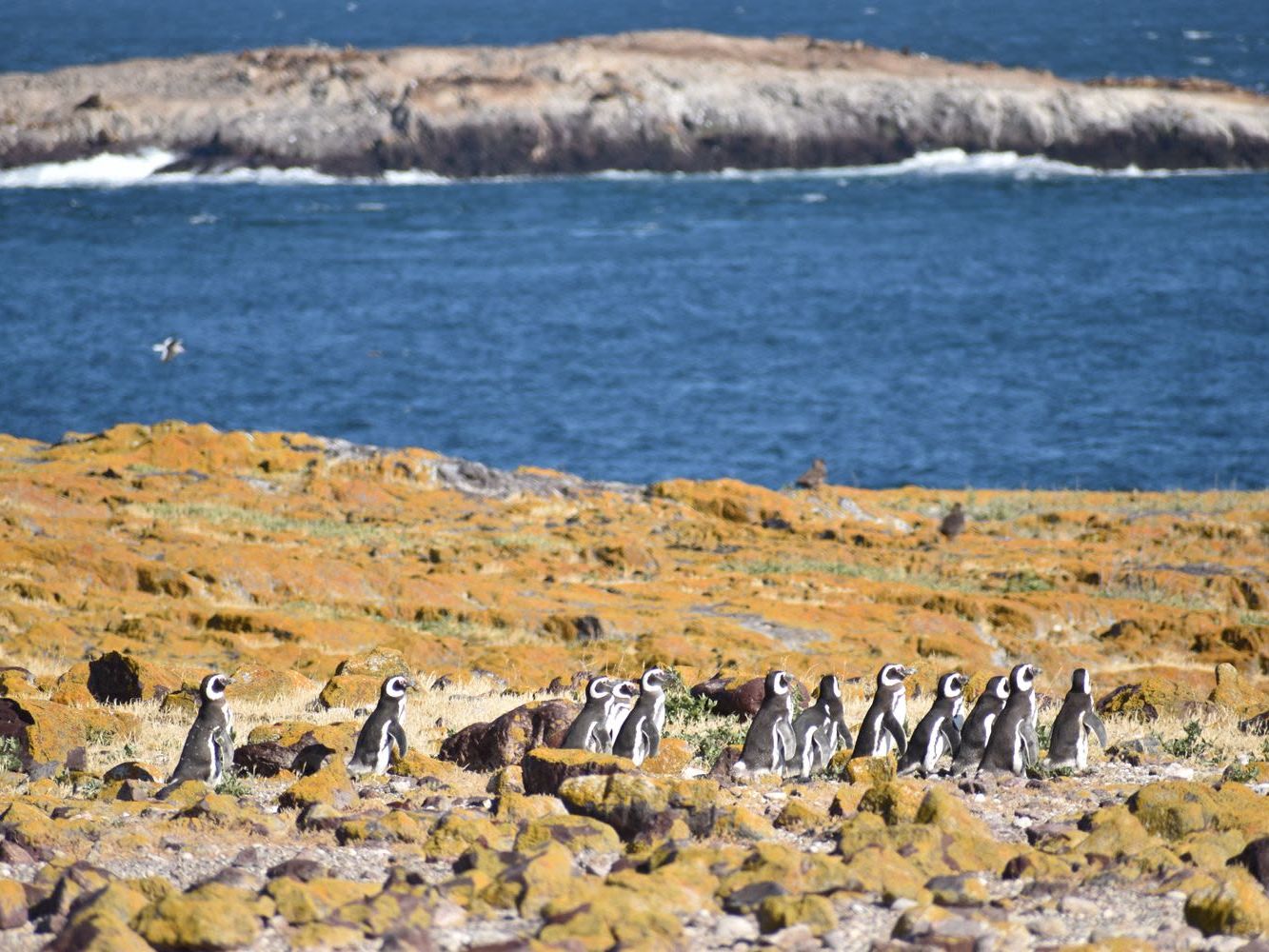 Darwin Camp - Included Excursions