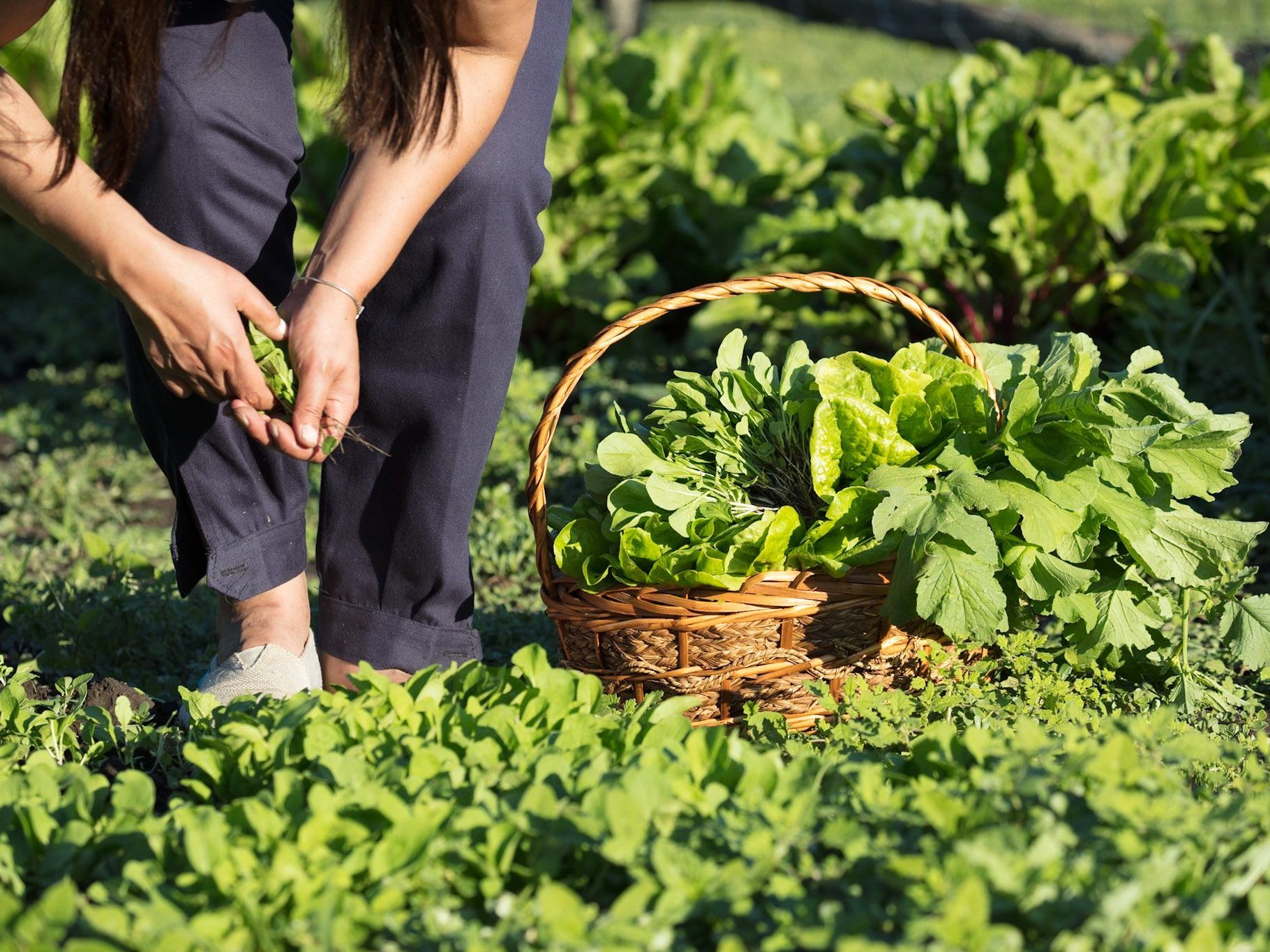 Activities at Estancia La Bandada 