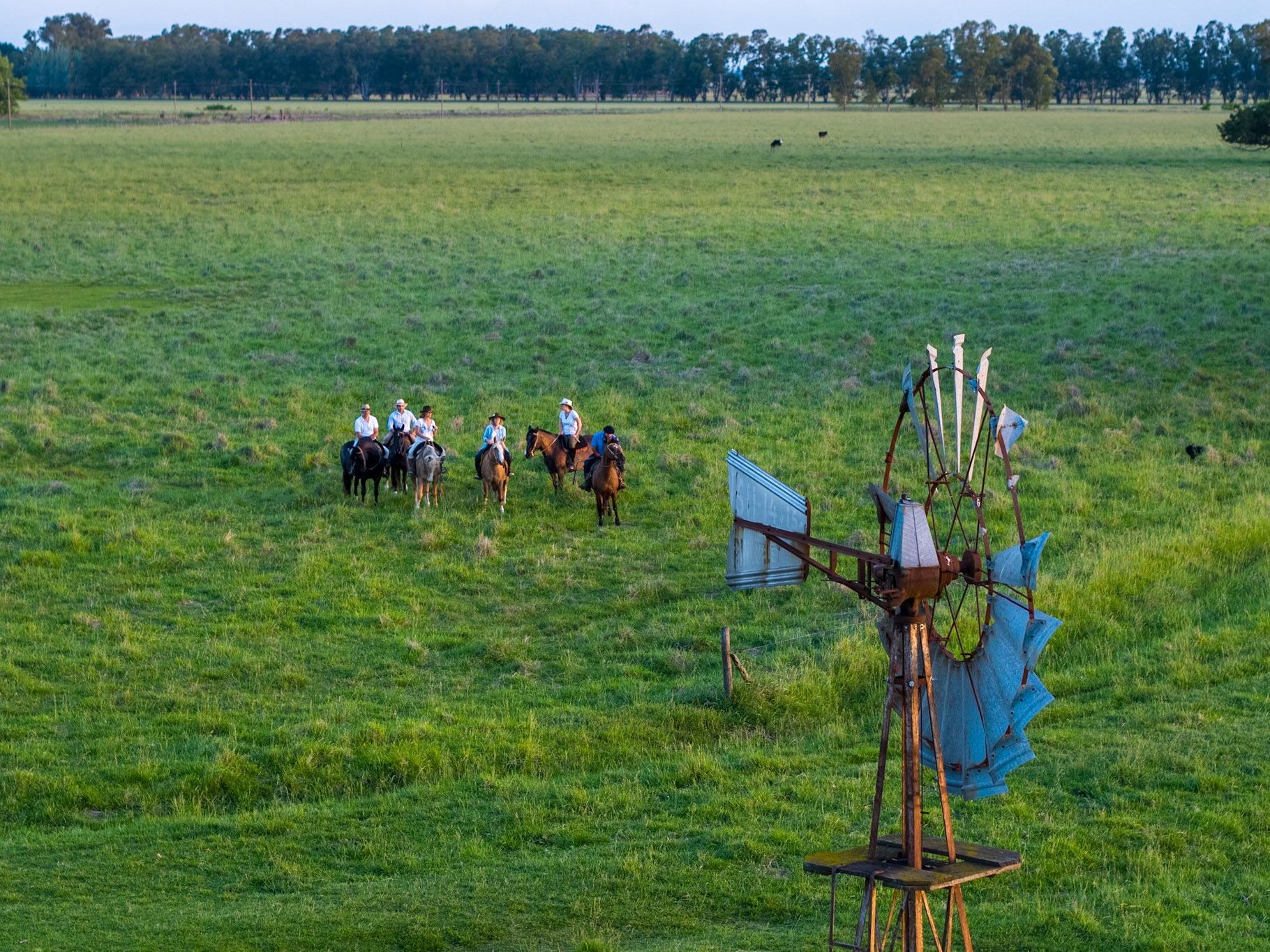 Morning at the Ranch / Afternoon transfer to Buenos Aires