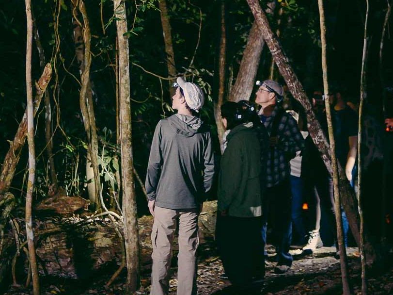 Exploring the Reserve & Creatures of the night