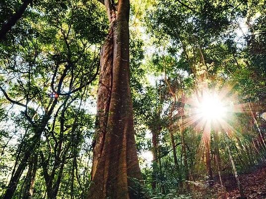 Fly to Santa Cruz. Transfer to Samaipata