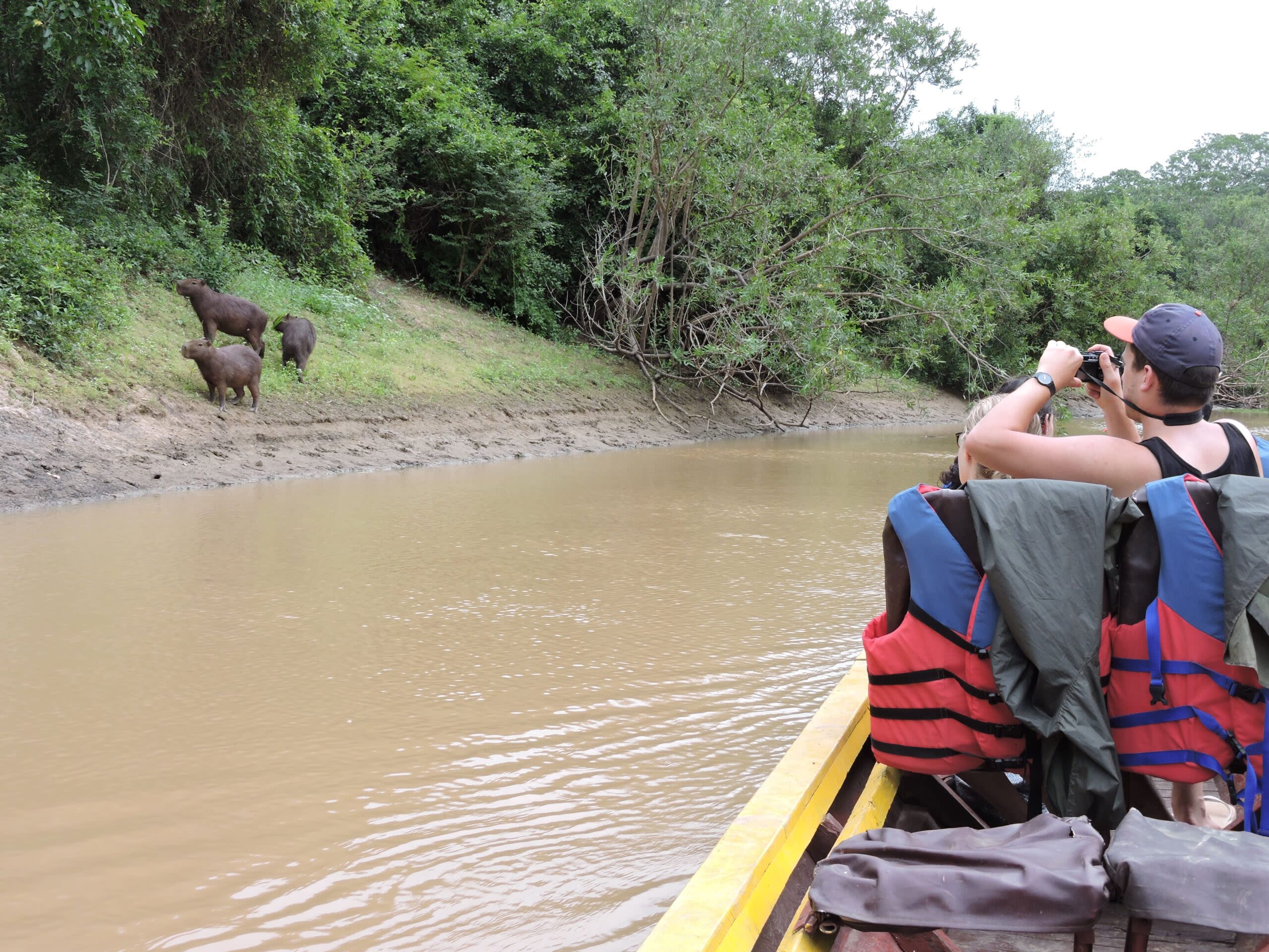 Morning Wildlife Spotting - Mashaquipe