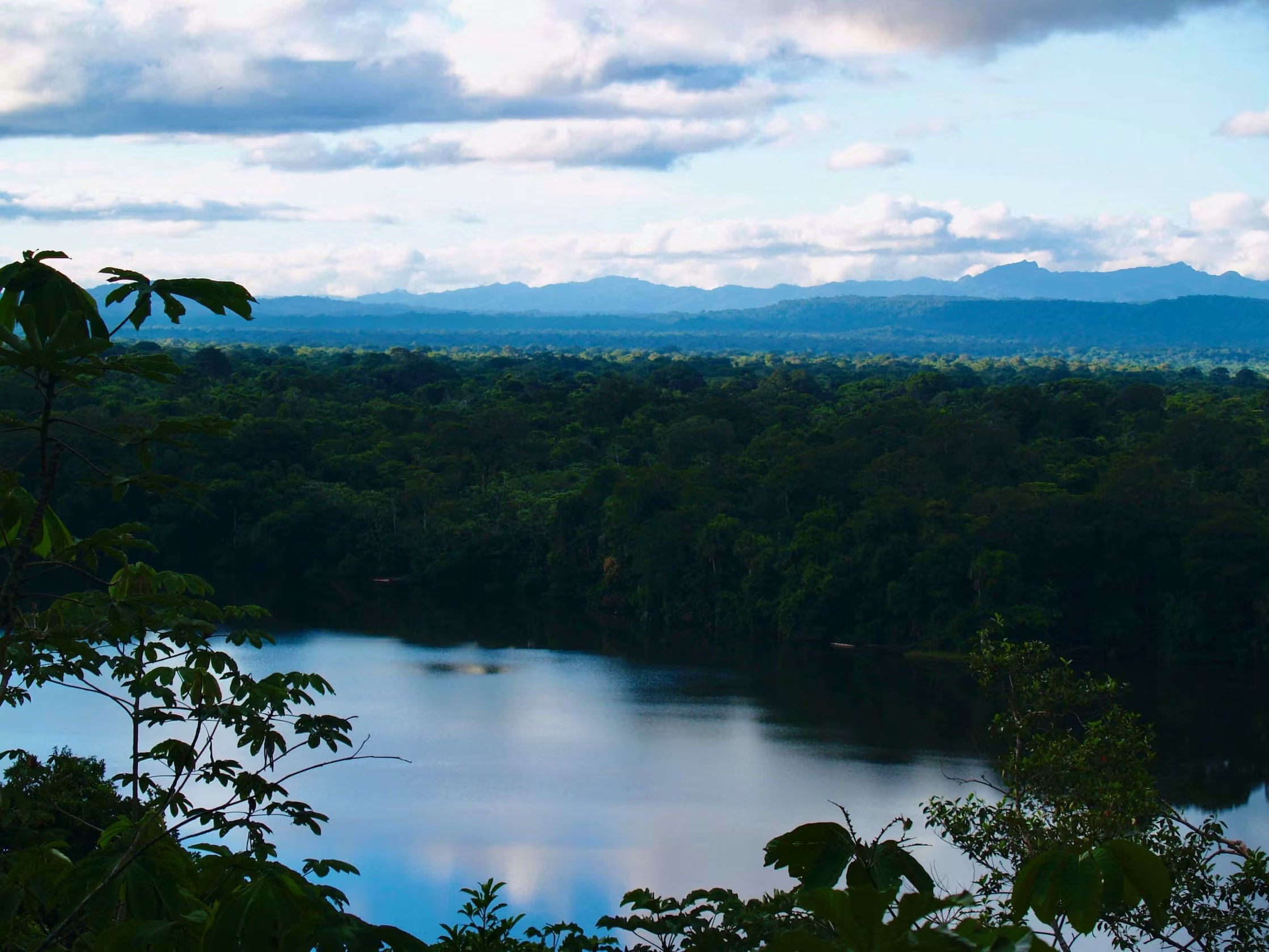 Introducing Madidi National Park