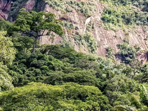 Explore El Fuerte de Samaipata and Amboro National Park