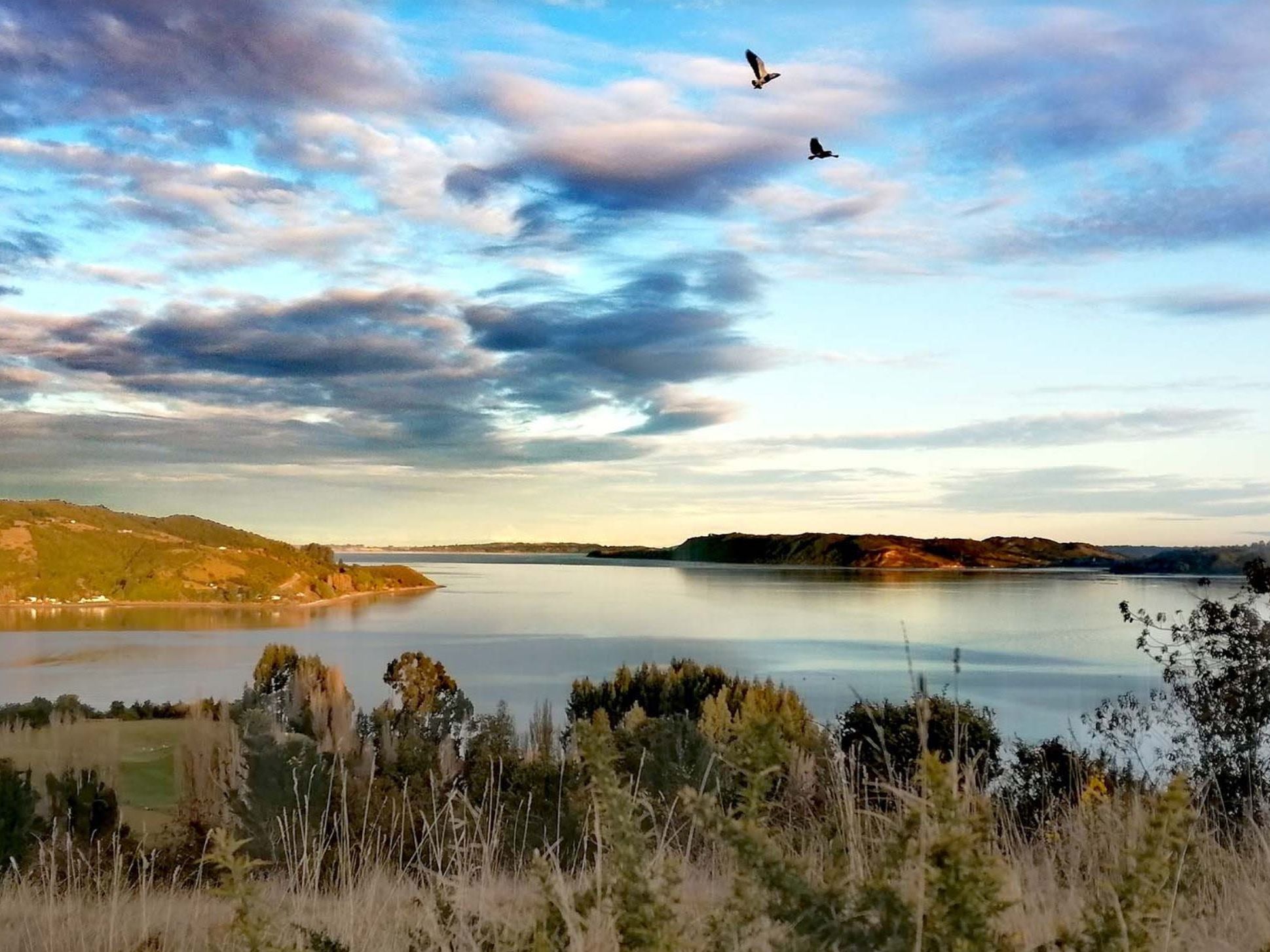 Included Activities and Excursions at Refugia Chiloe