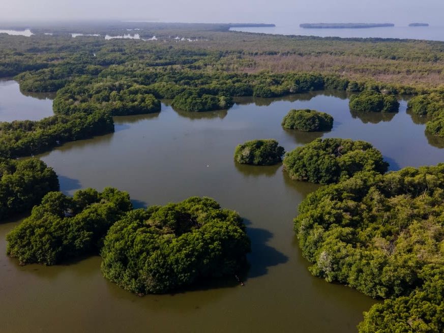 Overland to Cartagena via Nuevo Venecia