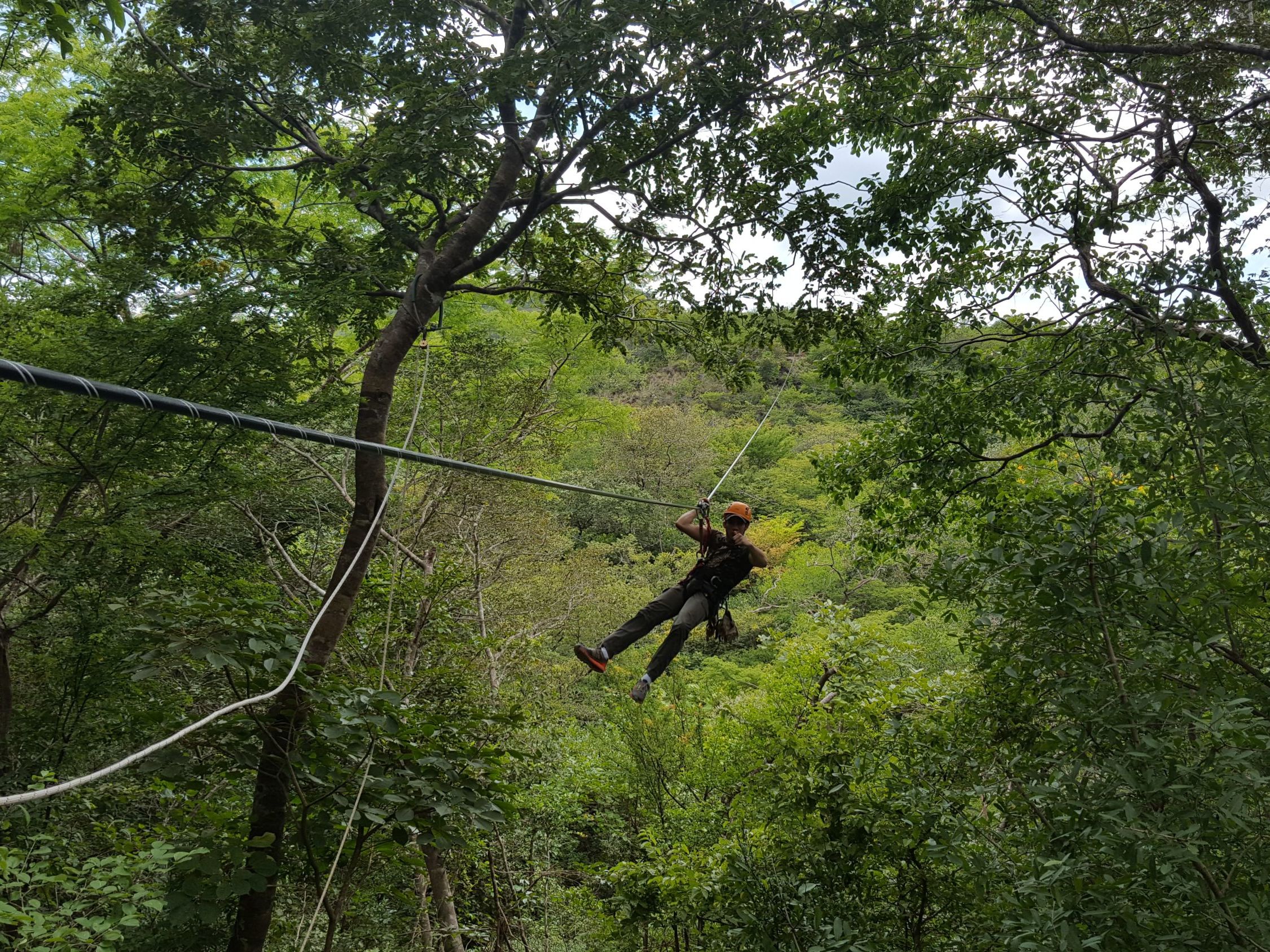 Canopy Ziplining & Boat Safari - Private