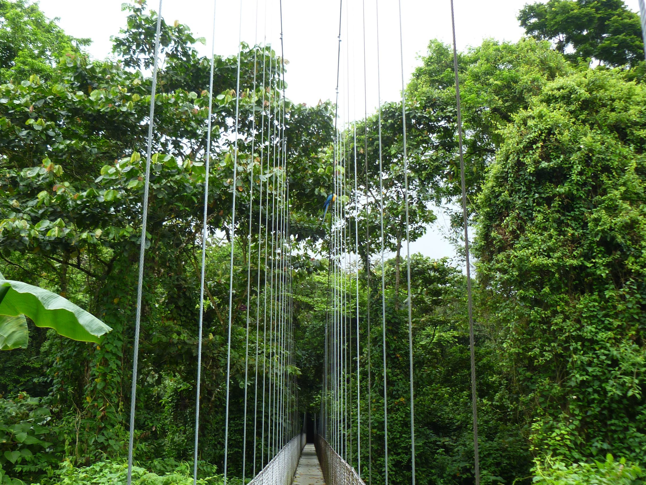 Hanging Bridges and Dona Mara Cooking Class