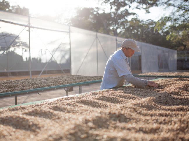 Naranjo Coffee and Town Experience