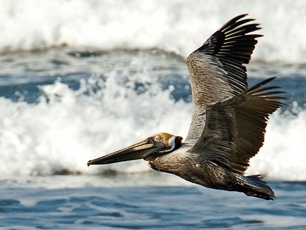 Days at Leisure on the Beach