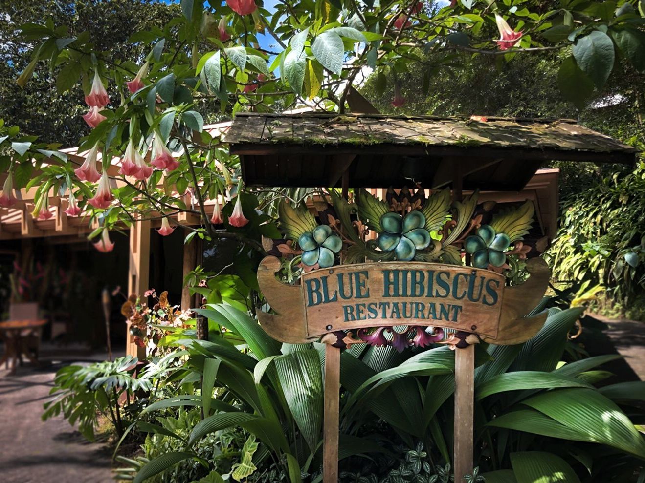 The Lost Iguana Resort & Spa