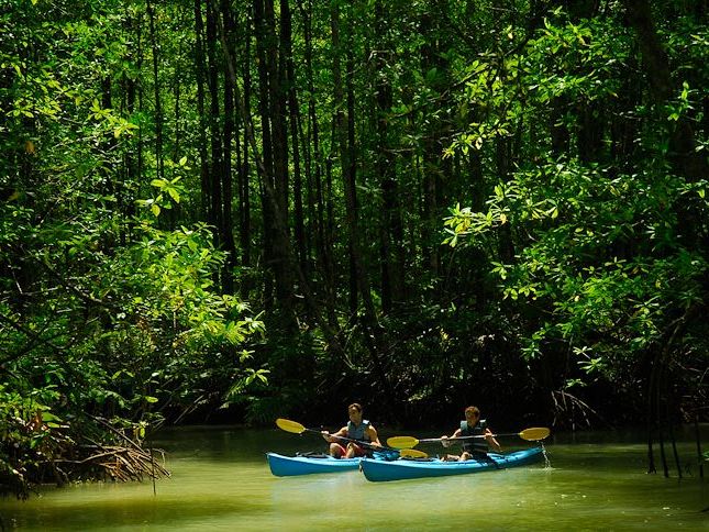 Playa Nicuesa Rainforest Lodge