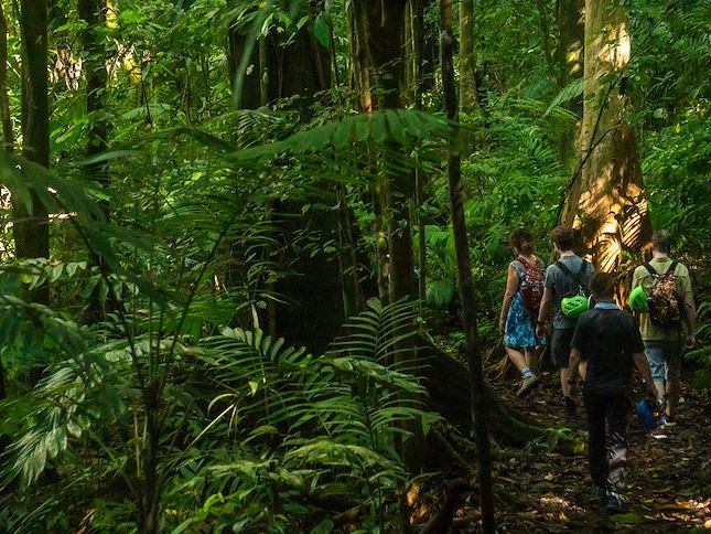 Playa Nicuesa Rainforest Lodge