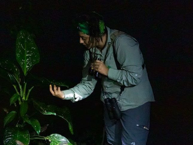 Fly to Drake Bay & Boat to Casa Corcovado