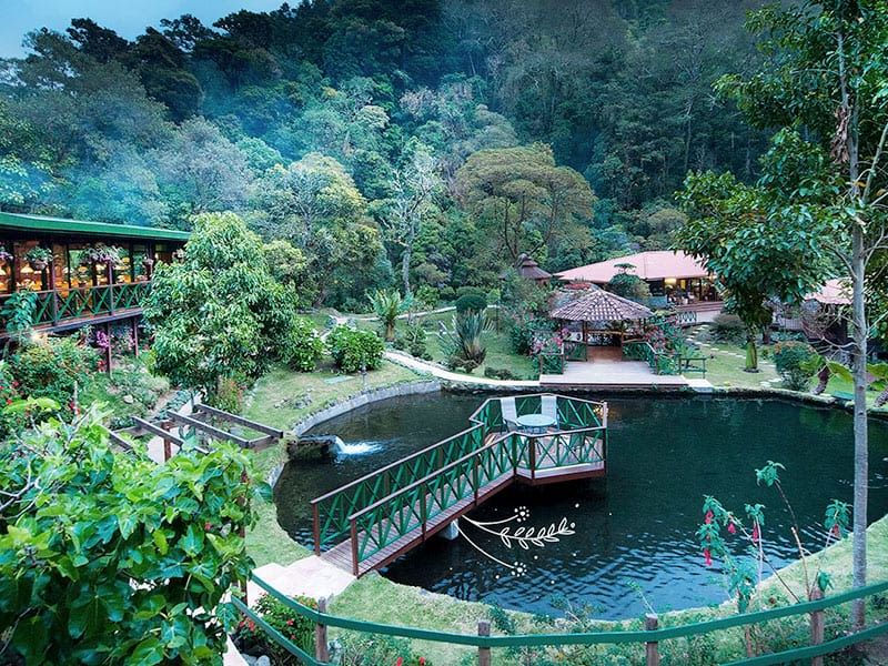 Trogon Lodge