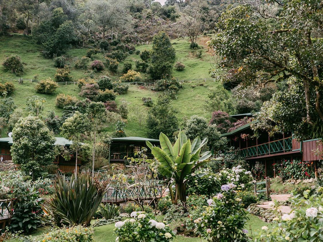 Trogon Lodge