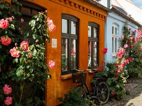 Gastronomic tour, Aarhus