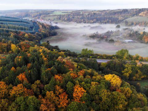 Day at leisure with Michelin-starred dinner