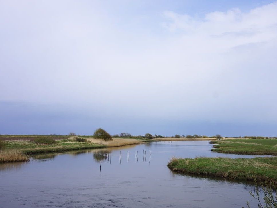 Visit historic Ribe and experience Viking life