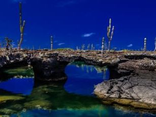 Day of Snorkelling with a Visit to a Giant Tortoise Breeding Centre