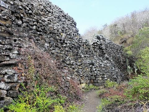Kayaking at Island Bay and Wetlands Trail Bike Ride