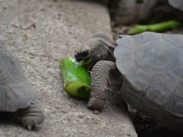 Kayaking at Island Bay and Wetlands Trail Bike Ride