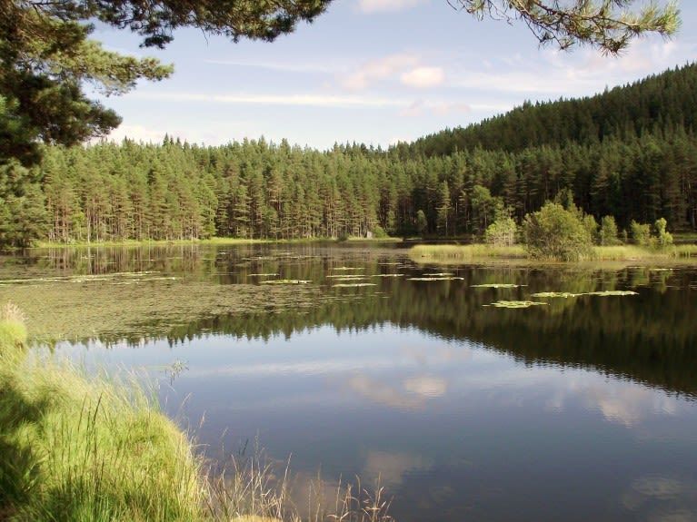 Introducing The Cairngorms