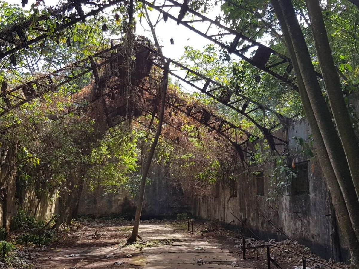 Explore Devils Island and Transfer to Kourou