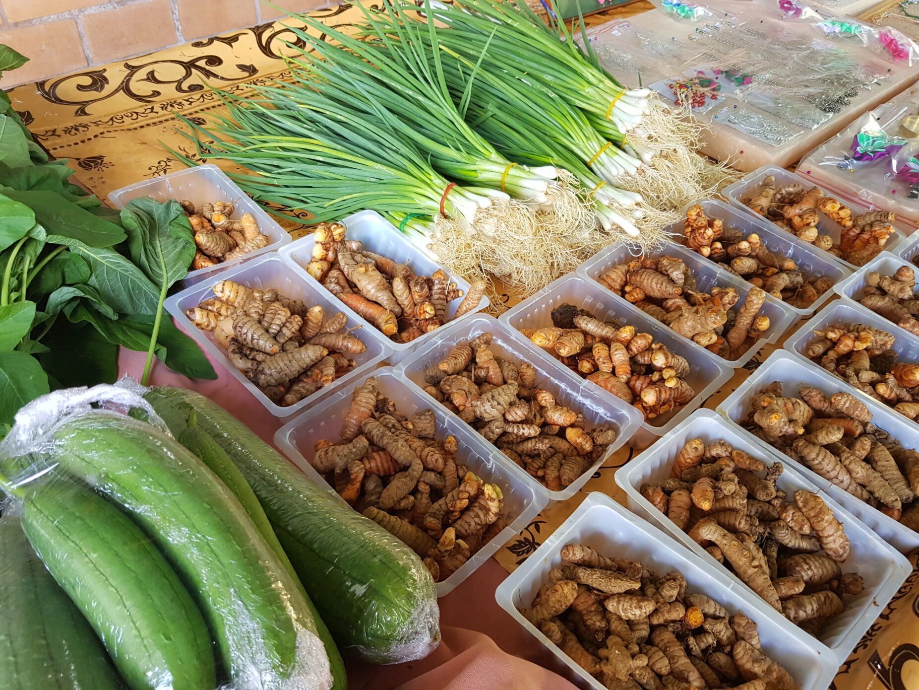 Visit Cacao in French Guiana