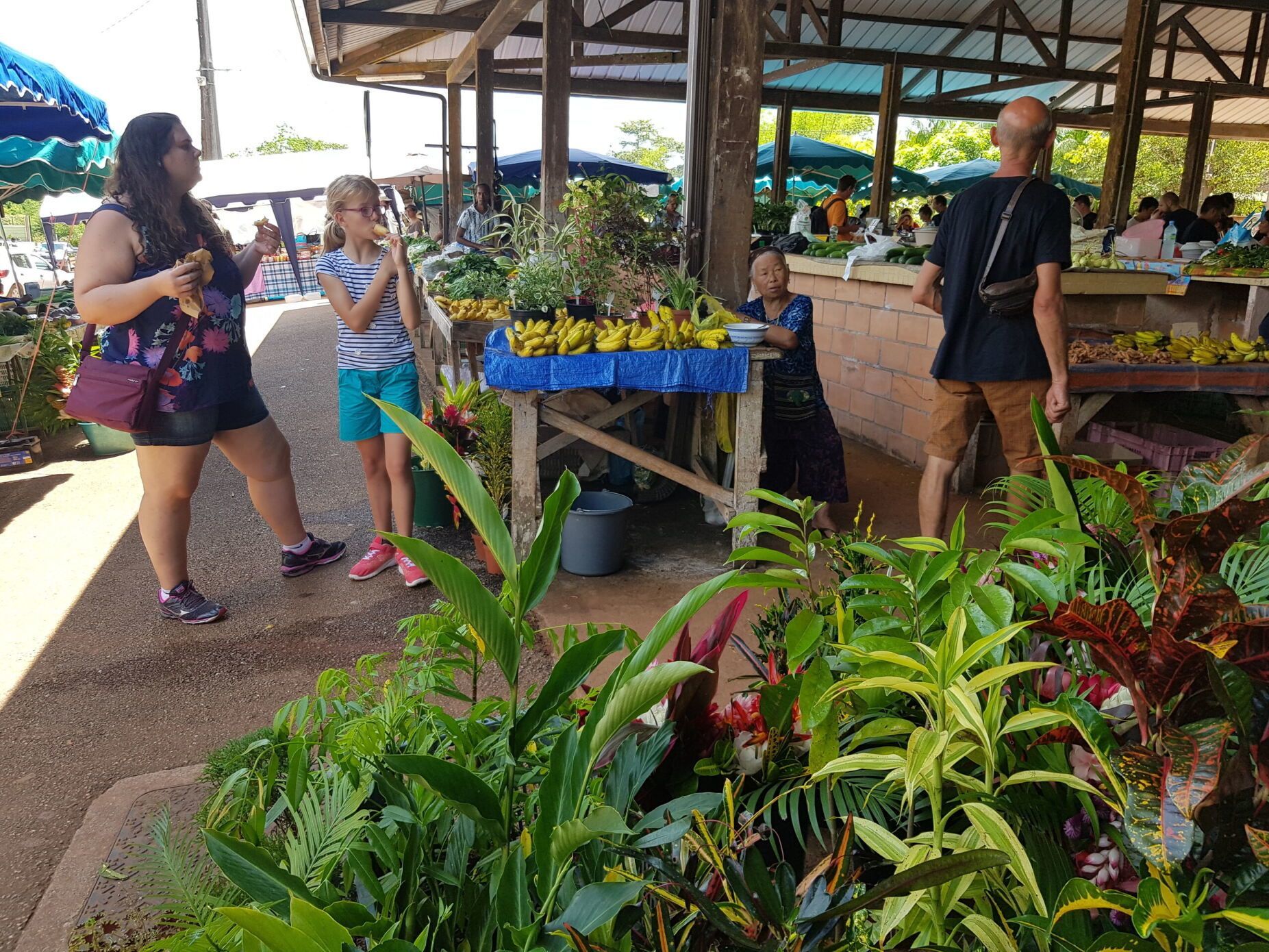 Visit Cacao in French Guiana