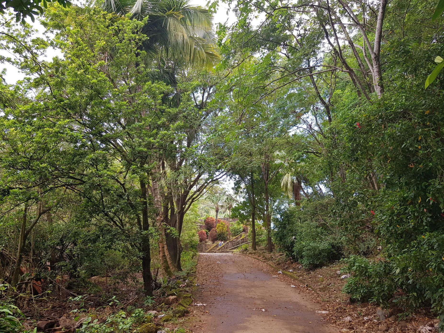Salvation Islands
