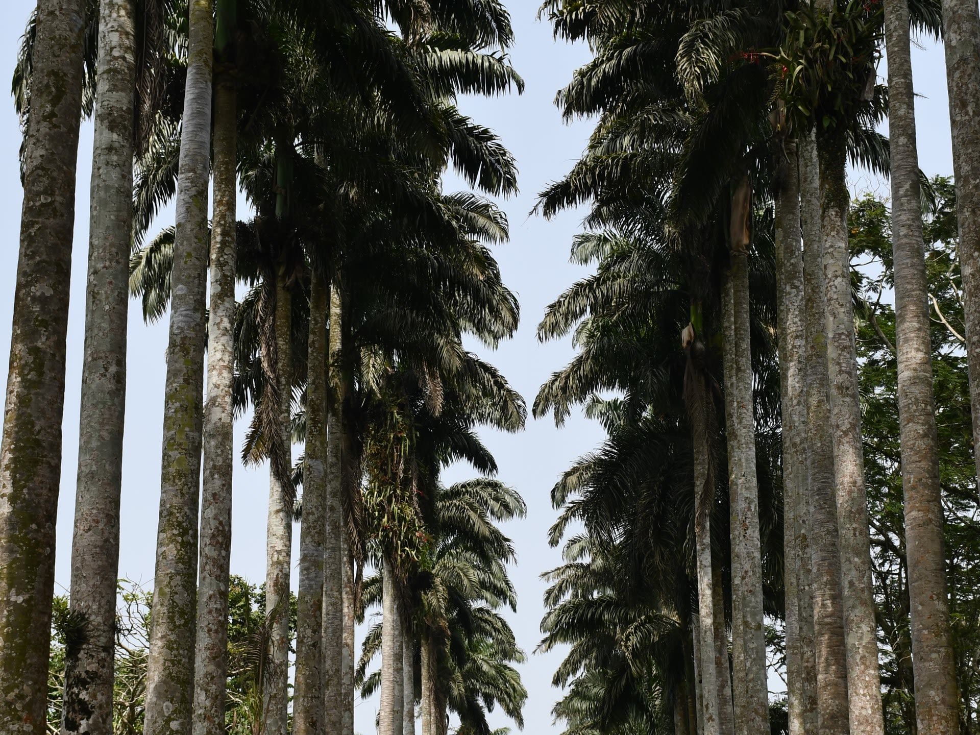 Departure flight home