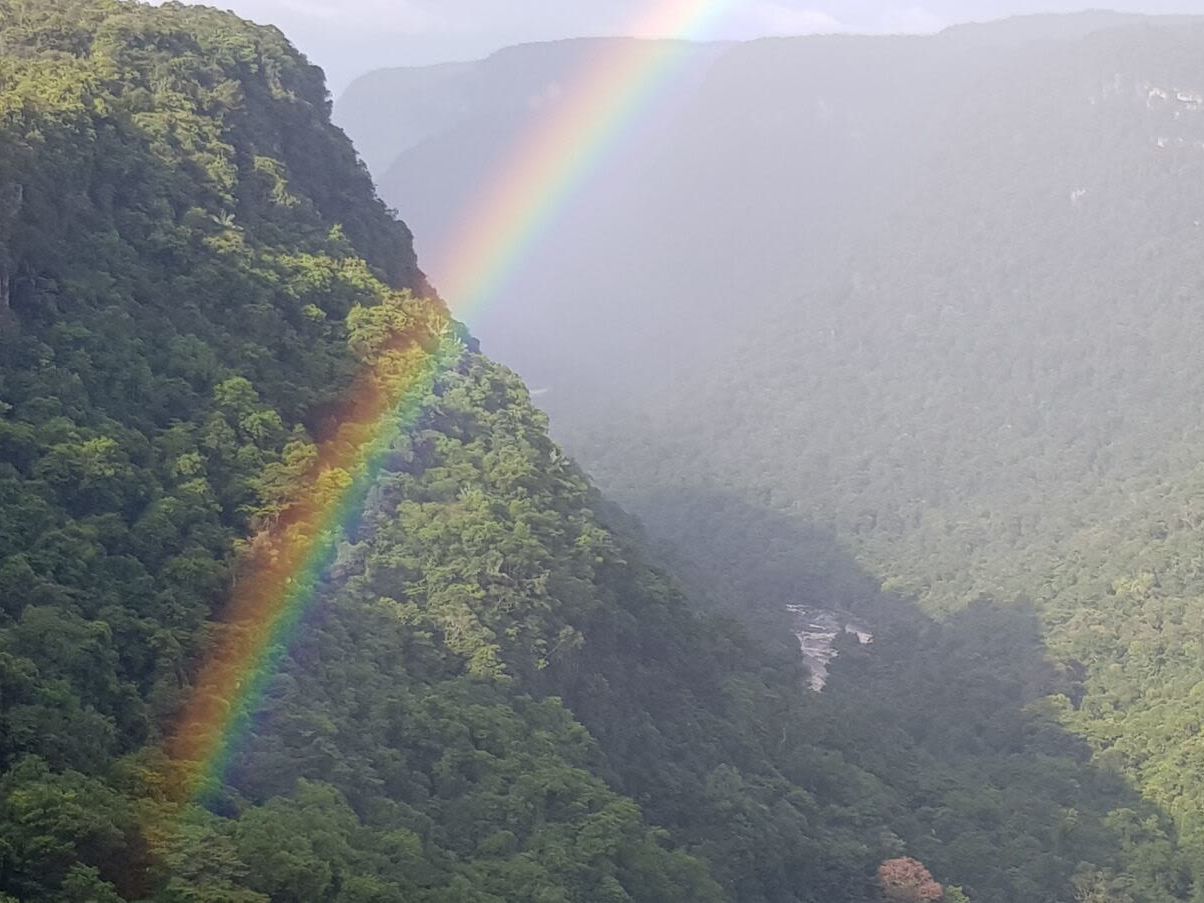 Kaieteur Falls Hike and Scheduled Flight to Georgetown