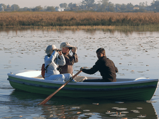 Morning Birdwatching and Afternoon Exploration of the Local Villages