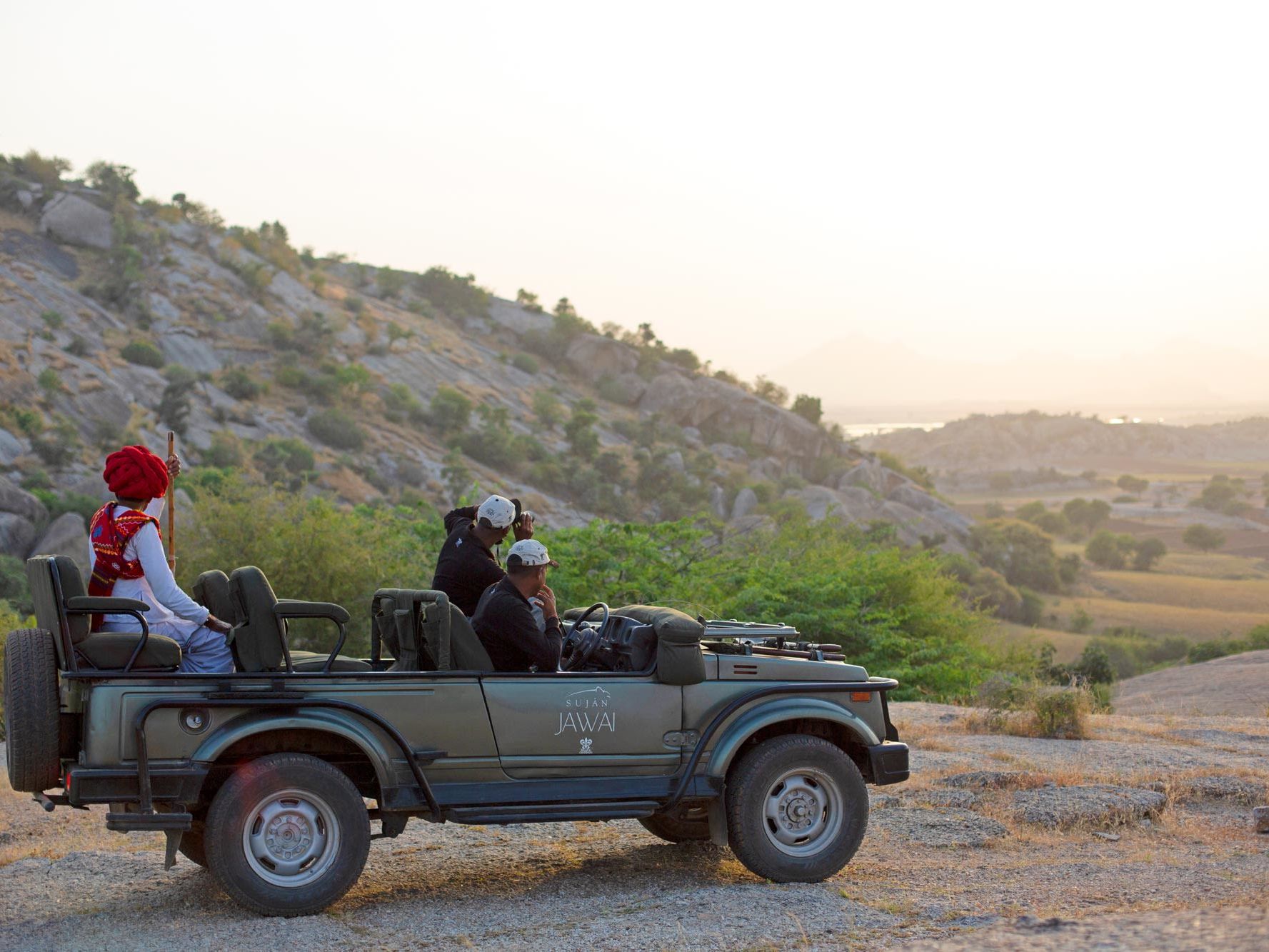 Drive to Jawai and Enjoy a Safari Drive
