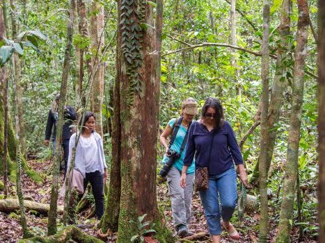 Enjoy a Forest Walk with a Trip to Camp Leakey