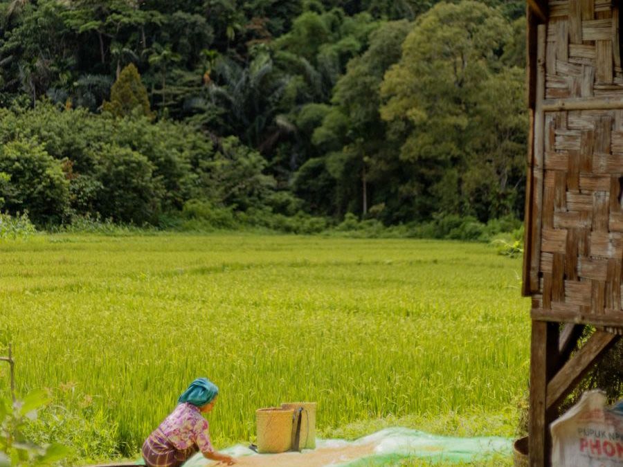 Days at Leisure in Komodo