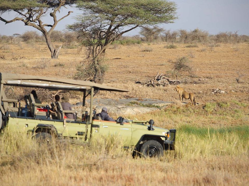 Safari Game Drives in the Mara Naboisho Conservancy (Encounter Mara)