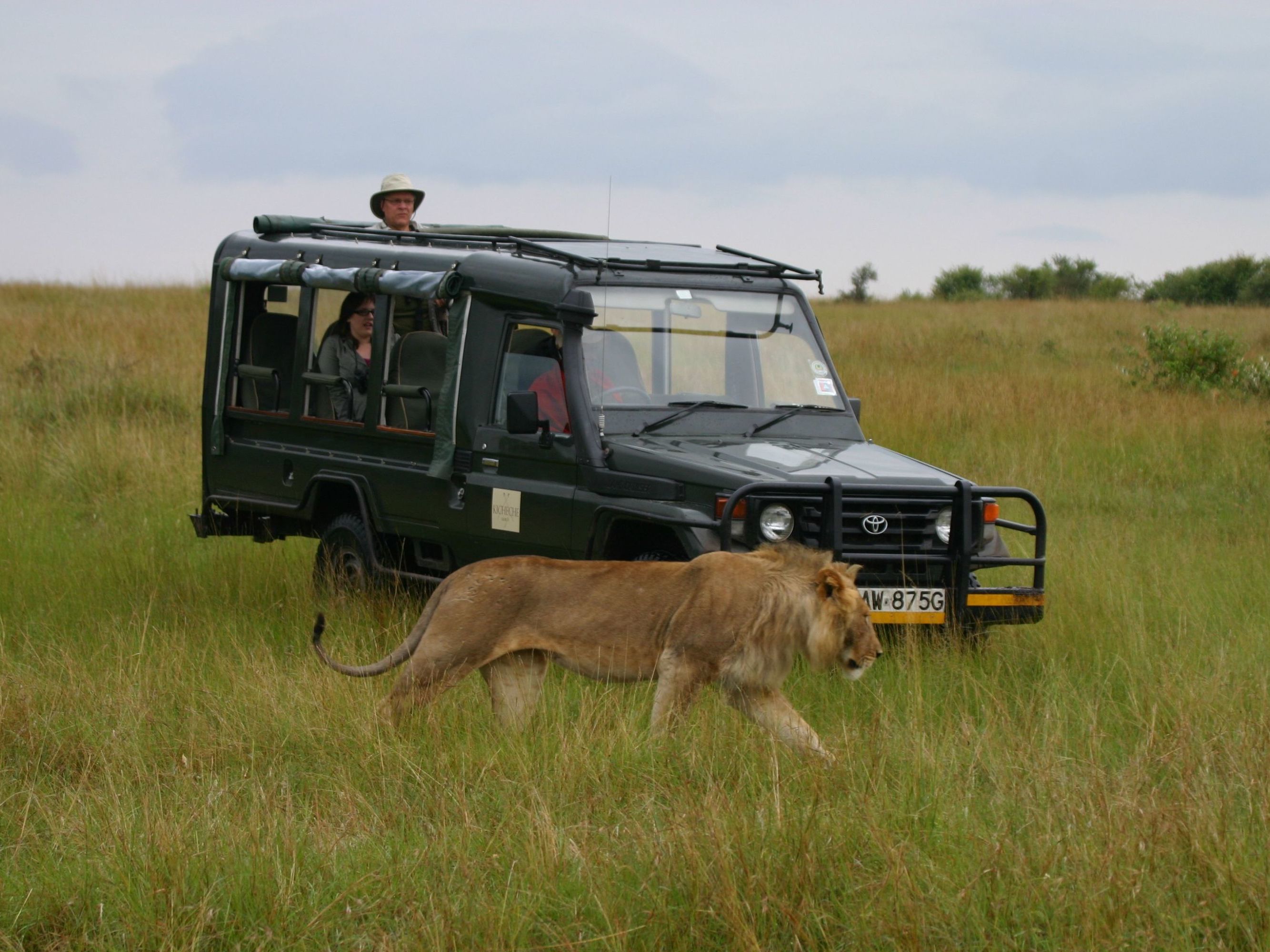 Activities at Ol Pejeta Conservancy - Lion Tracking
