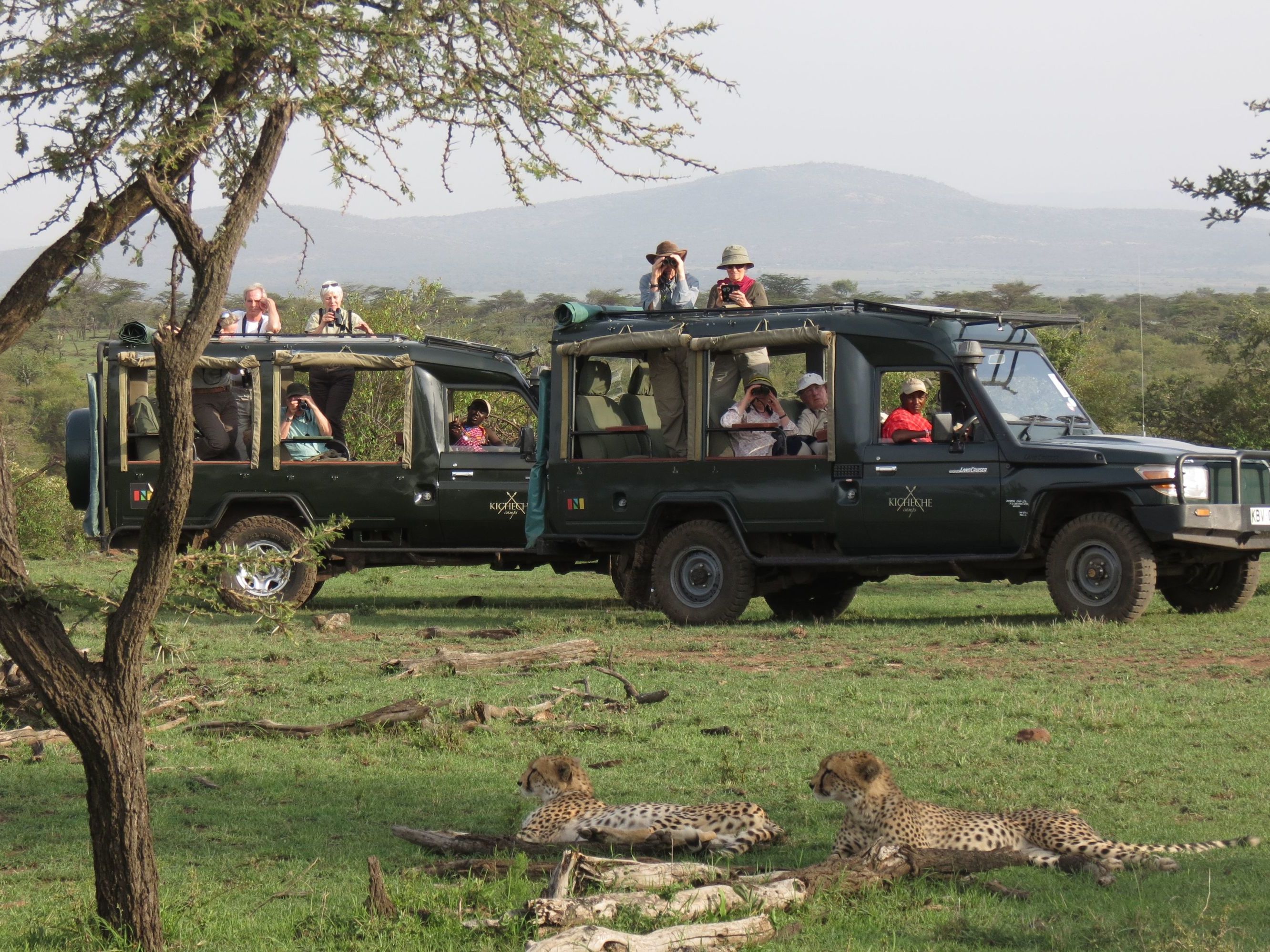 Lion Tracking - Explore the Western side of the Conservancy
