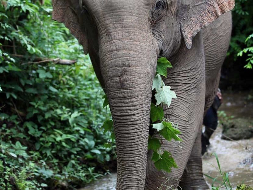 Day at Leisure in Luang Prabang