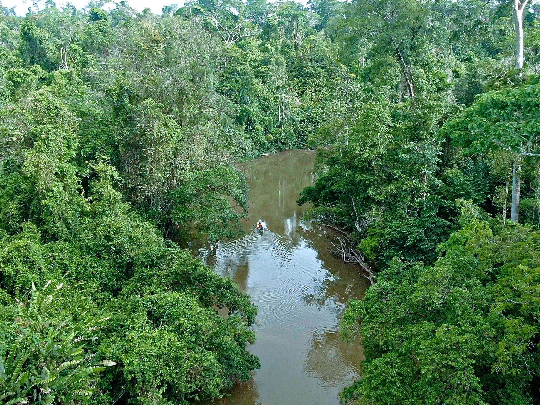 Rio San Juan & Guacimo Lodge Activities