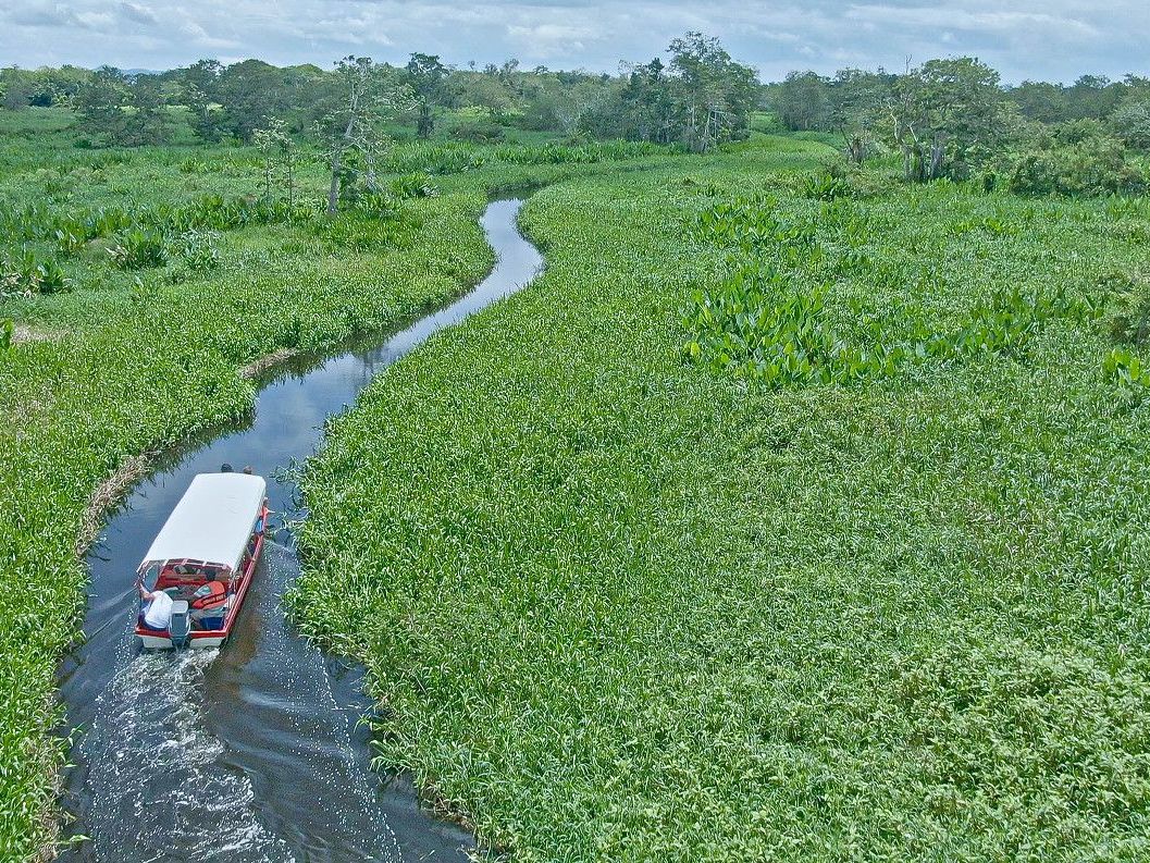 Rio San Juan & Guacimo Lodge Activities