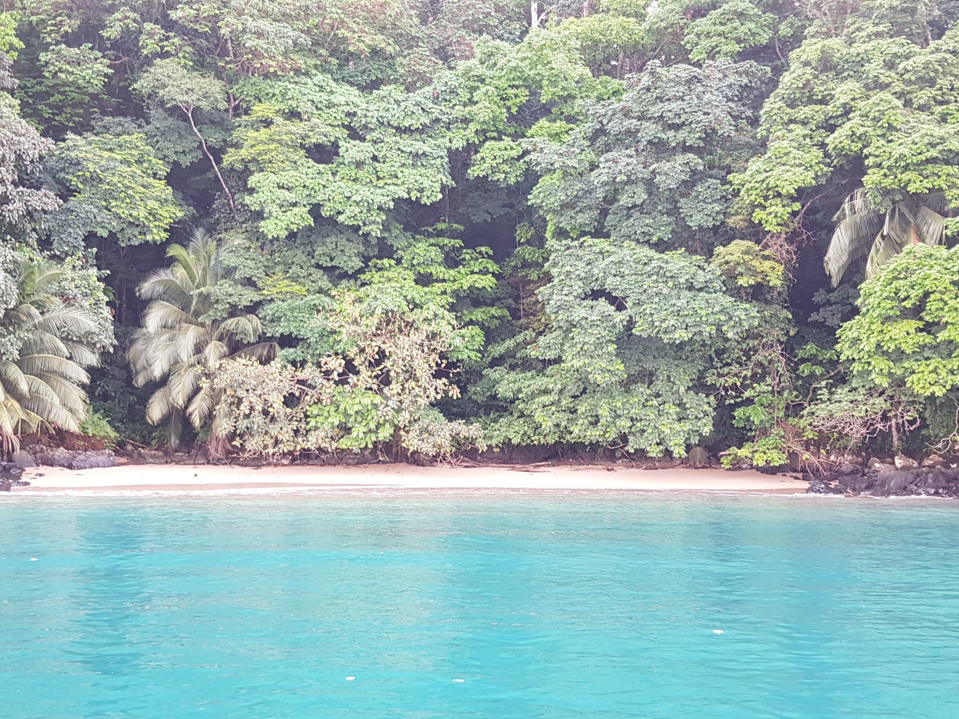 Excursions at Sundy Praia