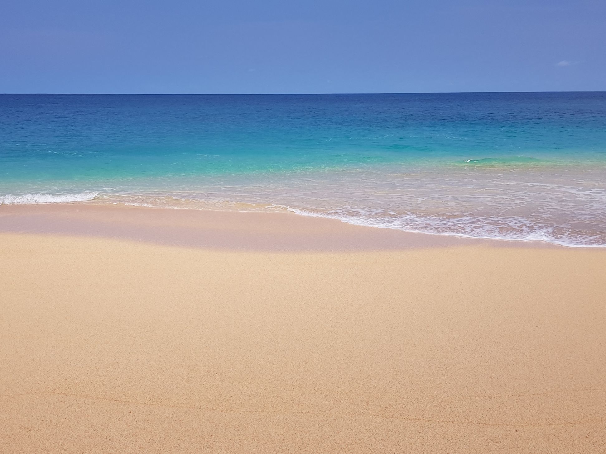 Introducing Principe