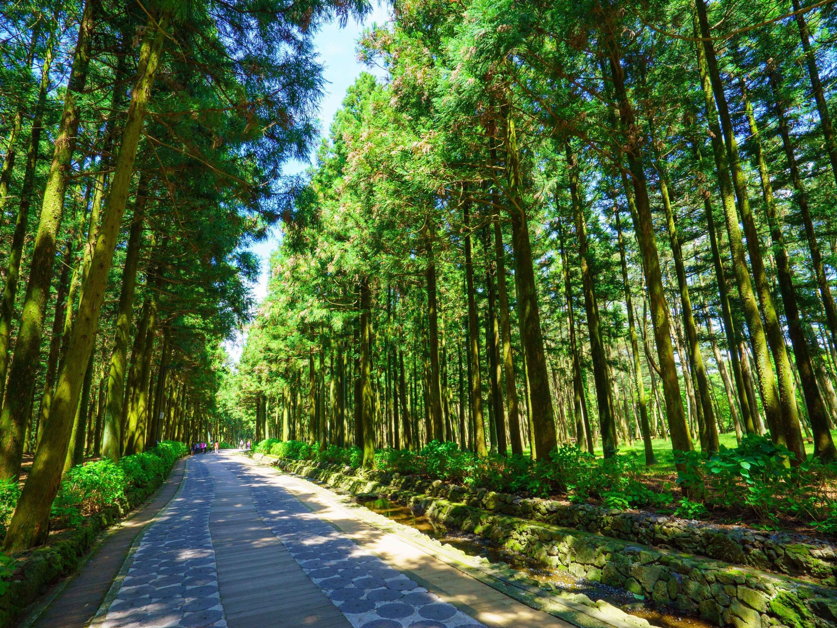 Introducing Jeju Island