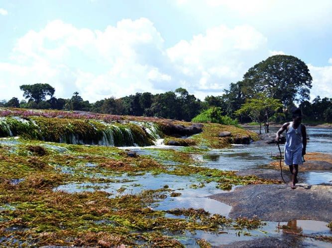 Exploring the Amazon from Danpaati